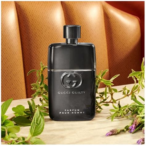 gucci guilty poor home|Gucci Guilty men smell.